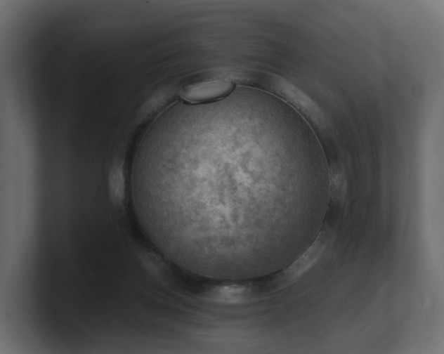 X0000100930158200806241413