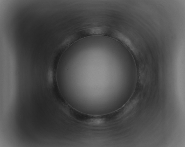 X0000100930161200806241413