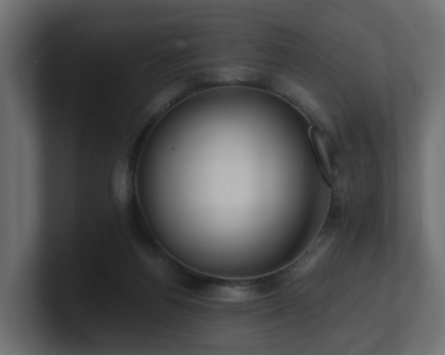 X0000100930164200806241413