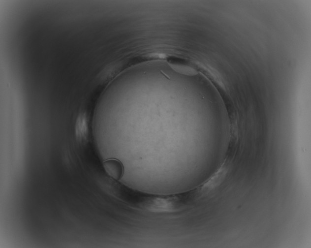 X0000100930166200806241413