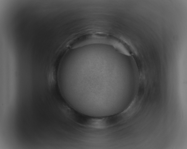 X0000100930170200806241413