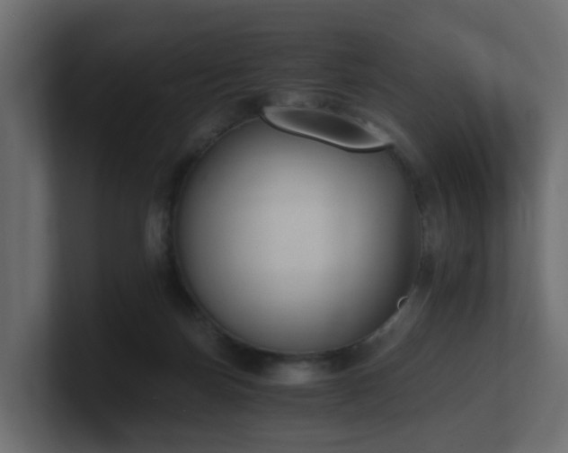 X0000100930171200806241413