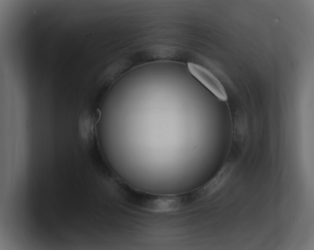 X0000100930172200806241413