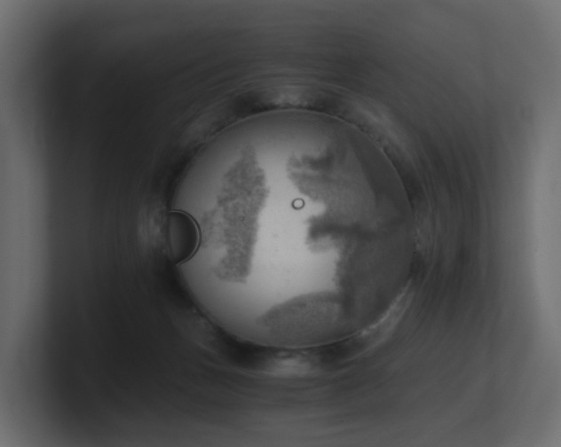 X0000100930175200806241413