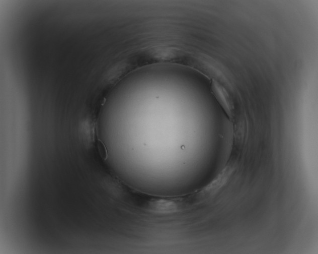 X0000100930180200806241413