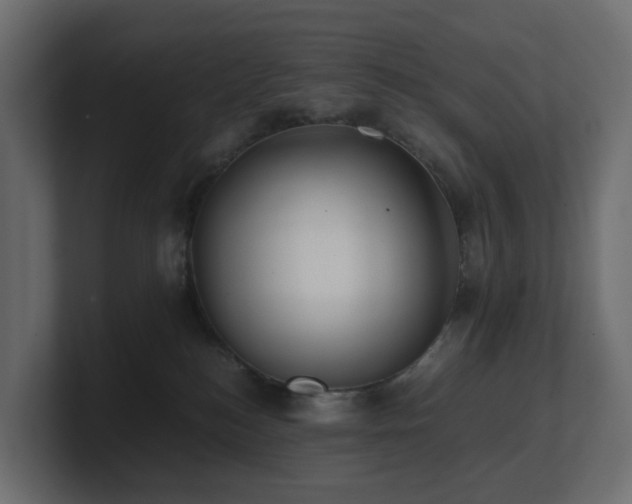 X0000100930184200806241413