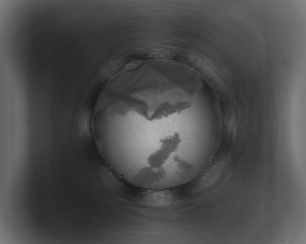 X0000100930185200806241413