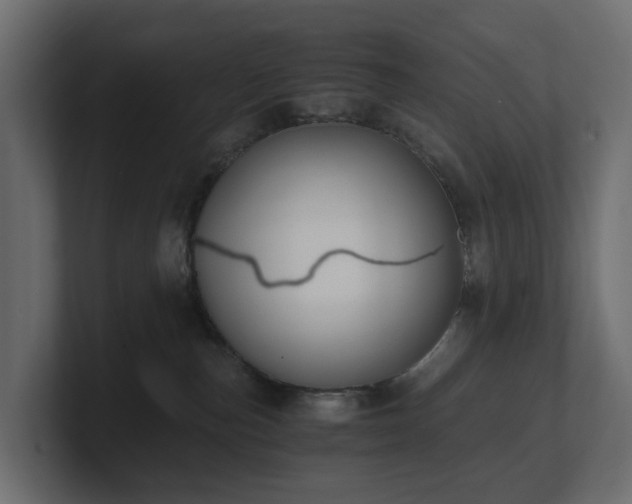 X0000100930187200806241413