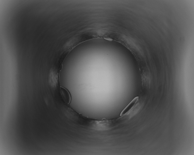 X0000100930188200806241413