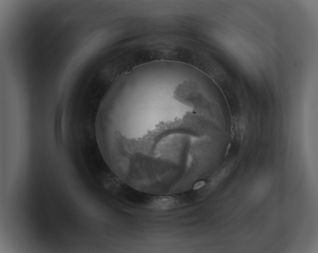 X0000100930189200806241413