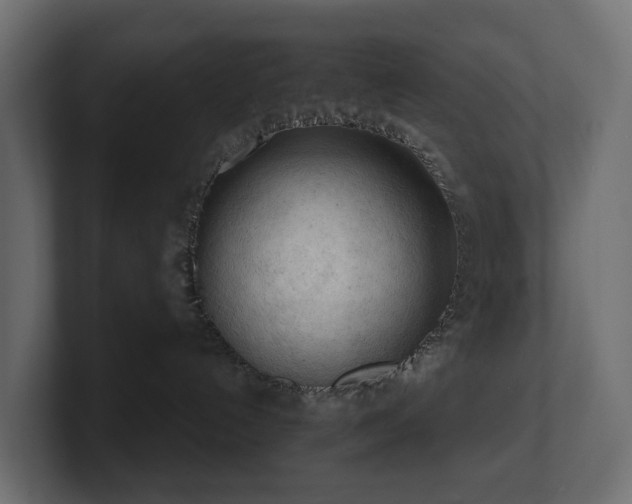 X0000100930192200806241413