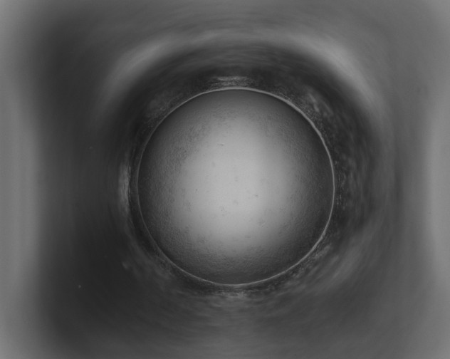 X0000100930194200806241413