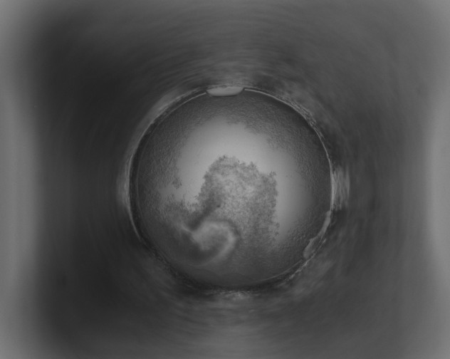 X0000100930195200806241413