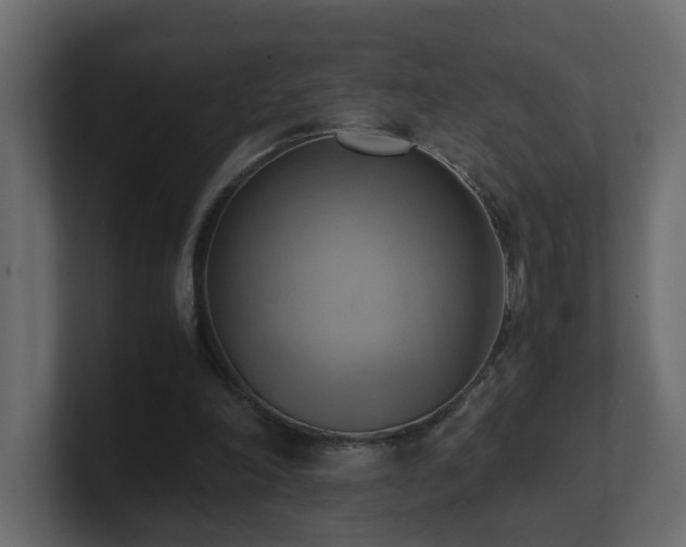 X0000100930198200806241413