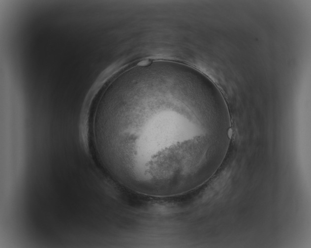 X0000100930199200806241412