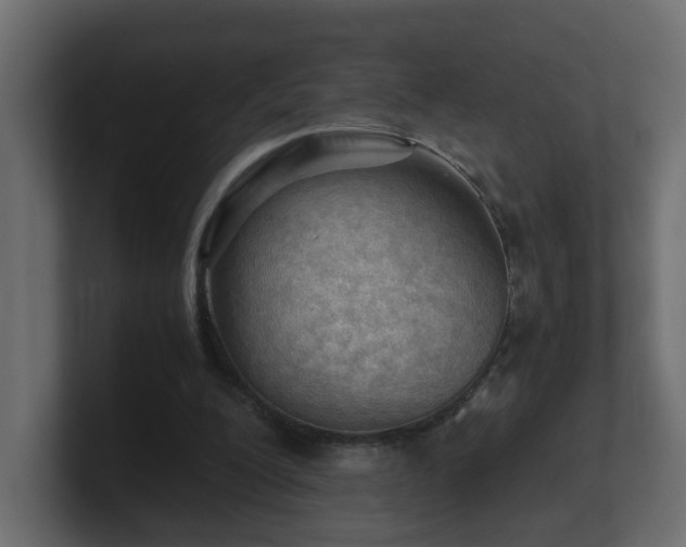 X0000100930200200806241412