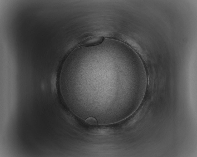 X0000100930201200806241412