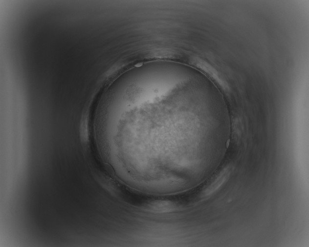 X0000100930203200806241412