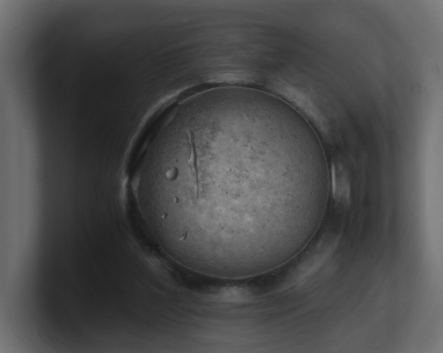 X0000100930204200806241412