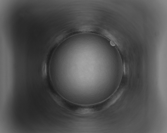 X0000100930205200806241412