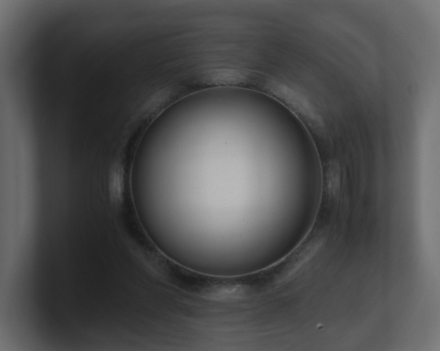 X0000100930206200806241412