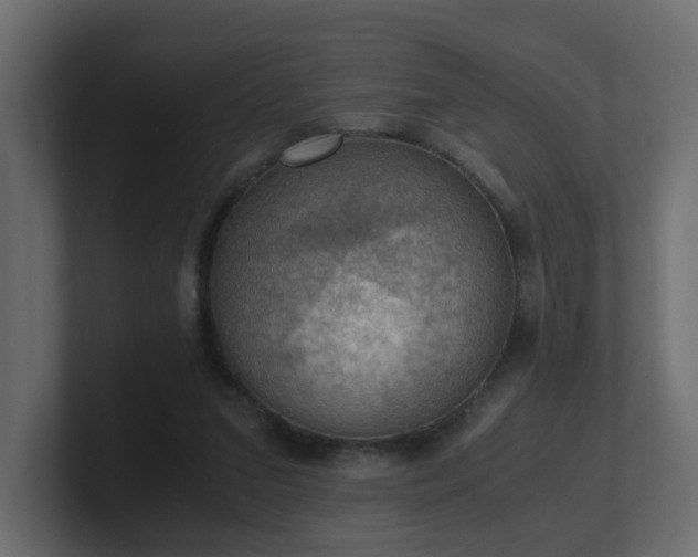 X0000100930207200806241412