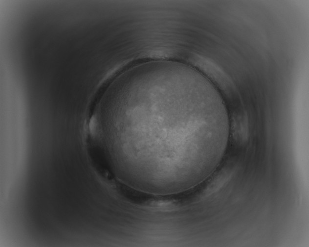 X0000100930208200806241412