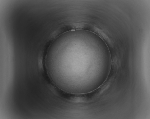 X0000100930209200806241412