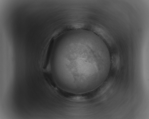 X0000100930212200806241412