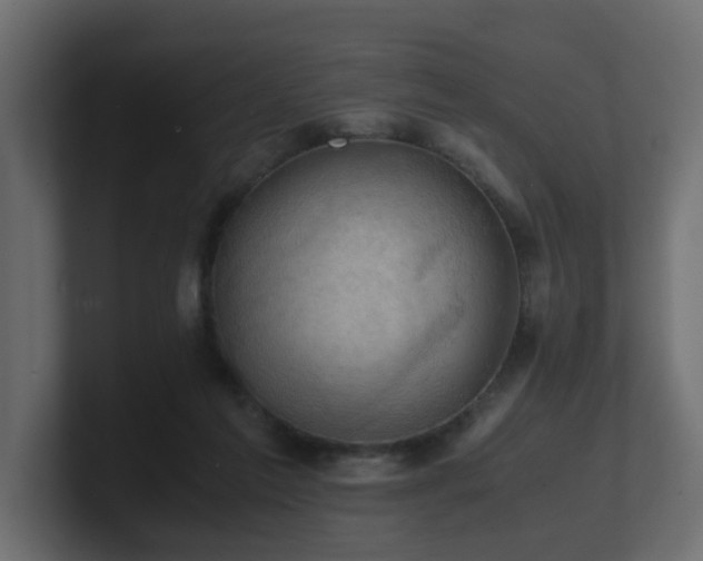 X0000100930213200806241412