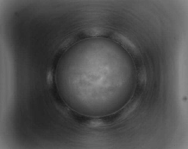 X0000100930214200806241412