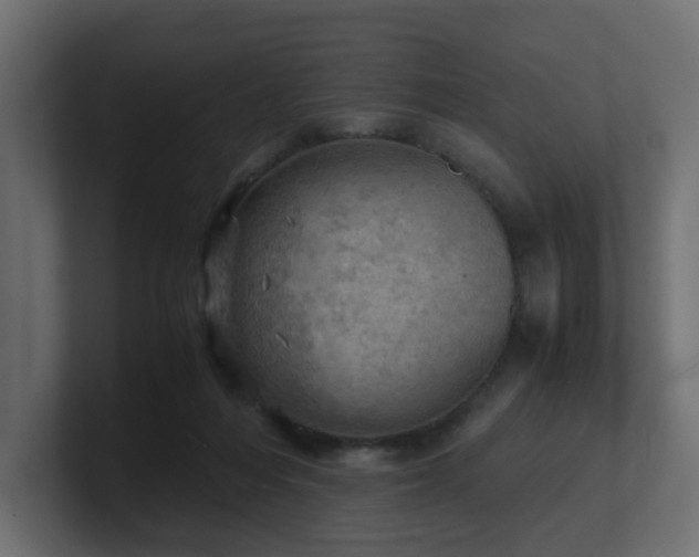 X0000100930216200806241412