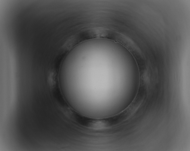 X0000100930218200806241412