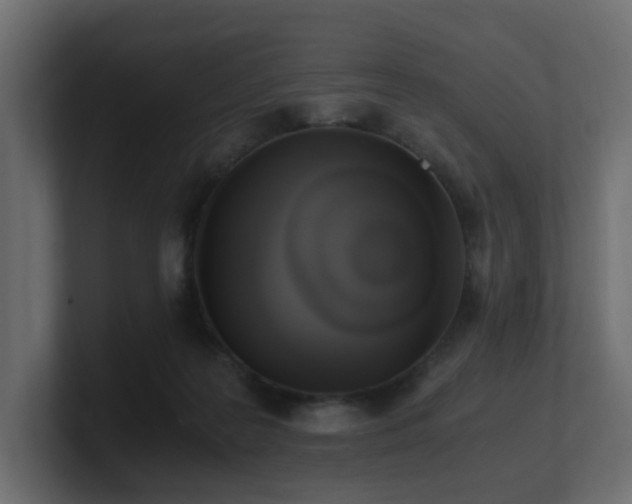 X0000100930219200806241412