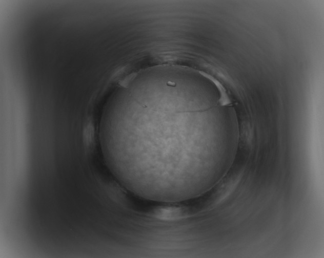 X0000100930220200806241412