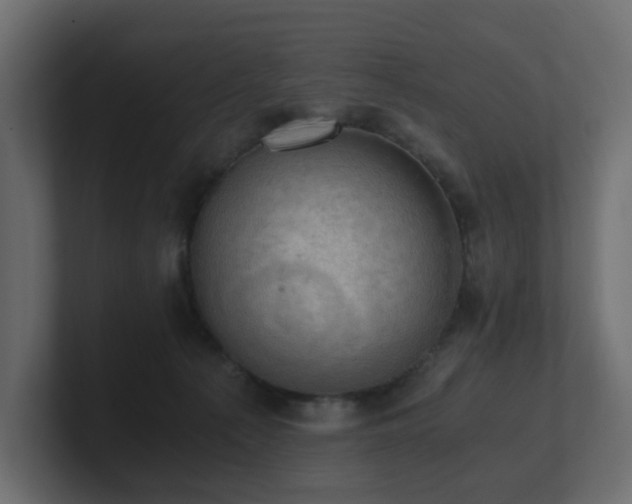 X0000100930225200806241412