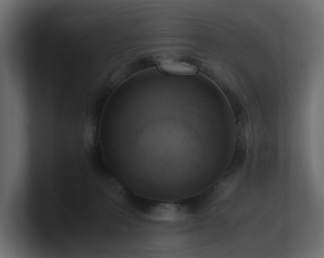 X0000100930227200806241412