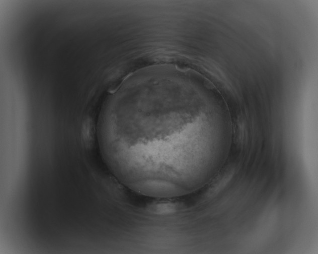 X0000100930228200806241412