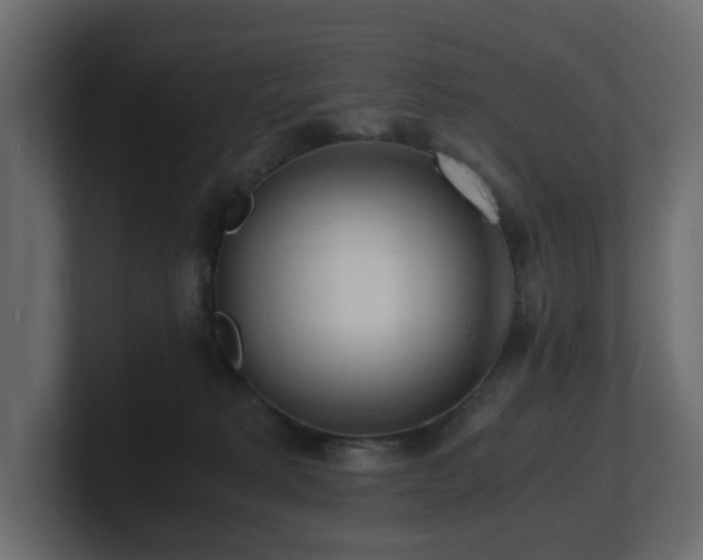 X0000100930229200806241412