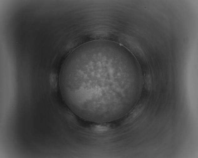 X0000100930232200806241412