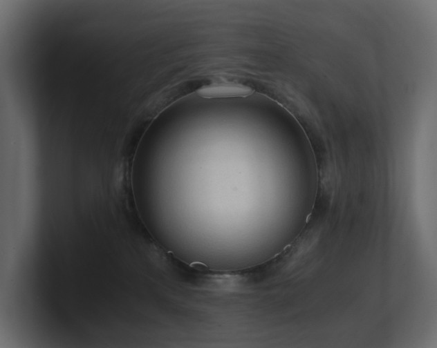 X0000100930233200806241412