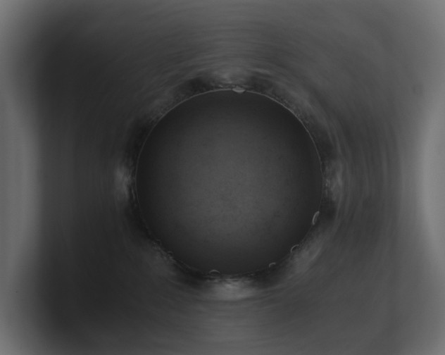 X0000100930235200806241412