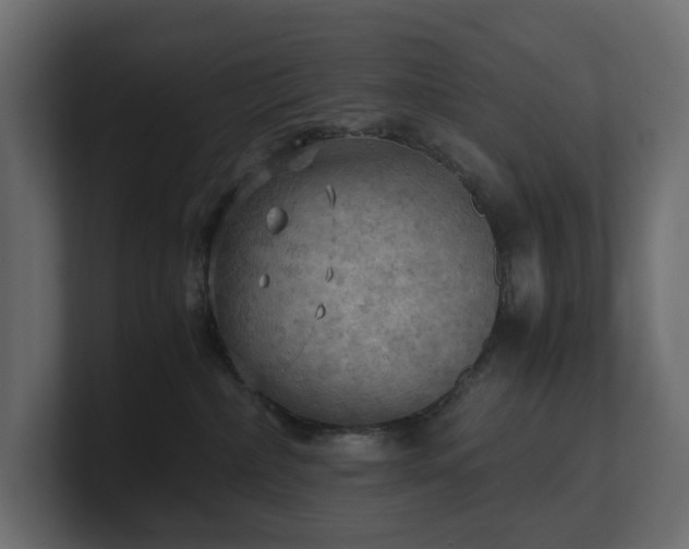 X0000100930236200806241412