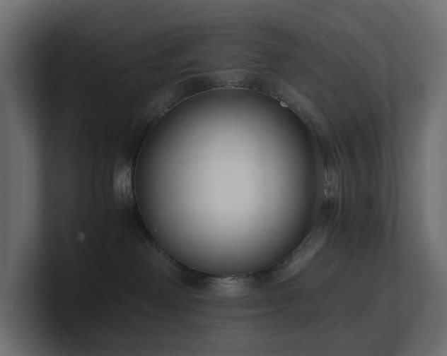 X0000100930238200806241412