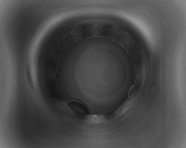 X0000100930239200806241412