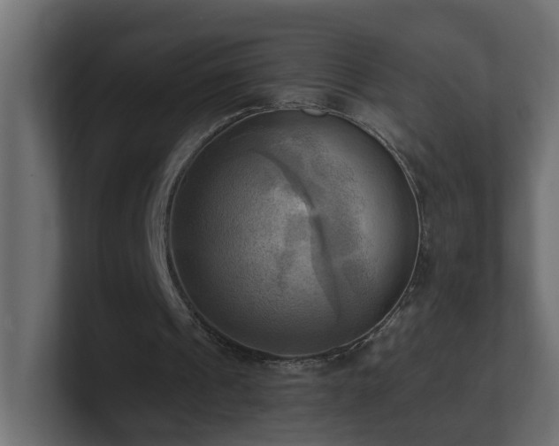 X0000100930241200806241411