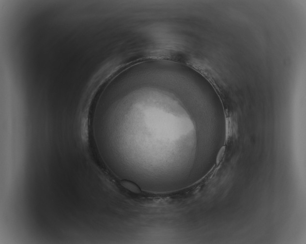 X0000100930243200806241411