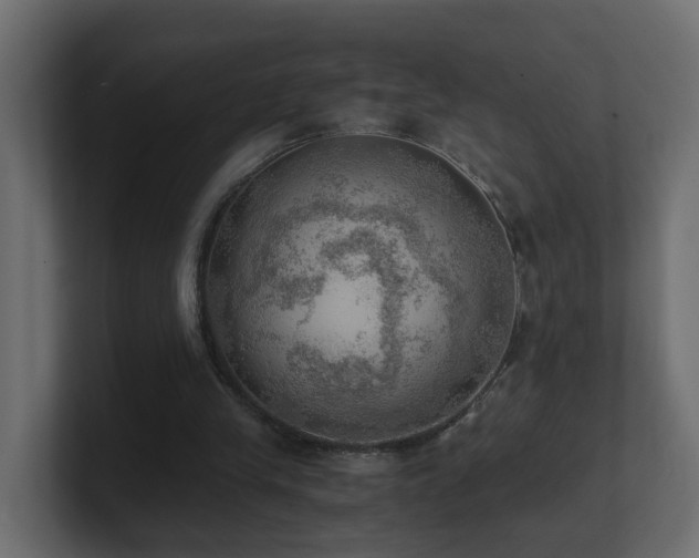 X0000100930245200806241411