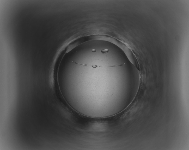 X0000100930248200806241411