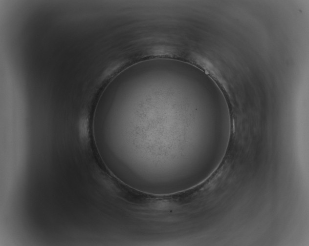 X0000100930249200806241411